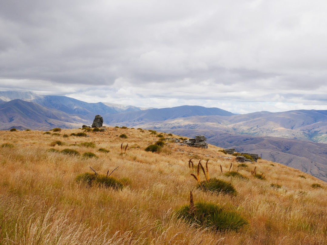 P1070575