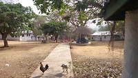 DSC03338