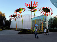 kunst bij Pacific Science Centre