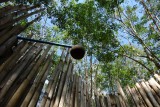 Coconut shower
