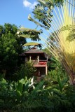 Jungle bungalow in Khao Sok