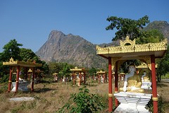 1000 Buddha's