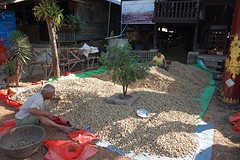 Pel-pinda sorteer centrum
