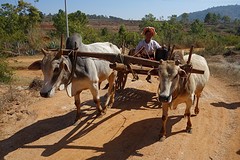 Zwaar transport
