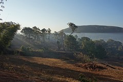 Morning mist