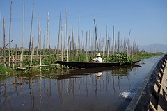 Drijvende akkers op het Inle Lake