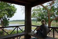 Wildlife watchtower