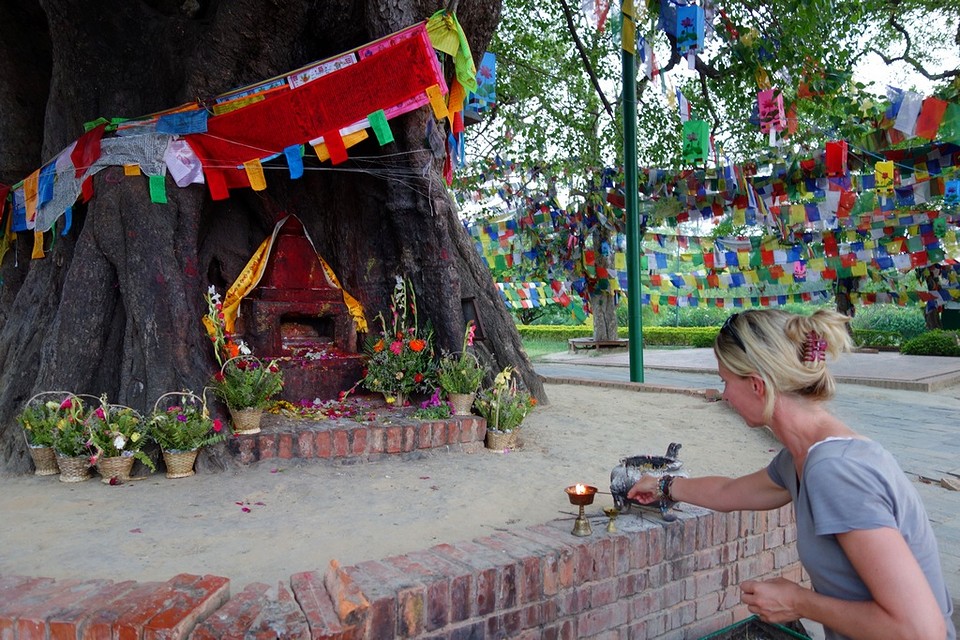 Wierook branden onder bodhi tree