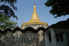 Meditatie cellen