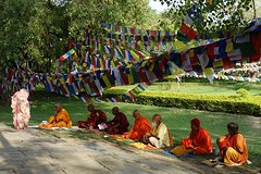 Monniken onder bodhi tree