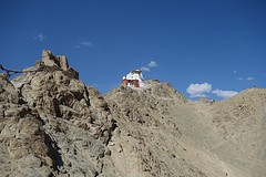 Leh castle