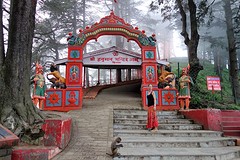The monkey temple