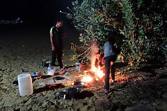 Koken met insecten