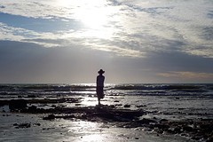 De zeespiegel