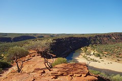Kalbarri NP