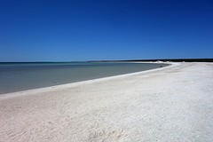 Shell beach