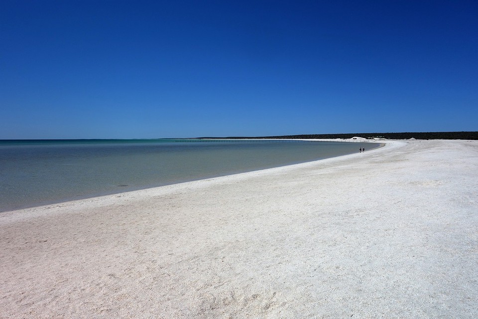 Shell beach
