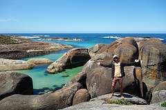 Elephant rock
