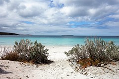 Memory cove