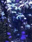 D9F57236-2F8B-4987-A690-CCCDB5D6B9AB