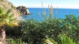 playa de Maro