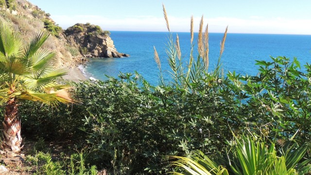playa de Maro