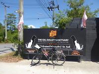 Aan de ingang van “ Soi Dog Foundation”