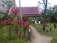 De prachtige omgeving rond de bungalow