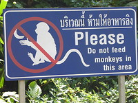 Do not feed The monkeys