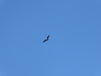 High in The Sky