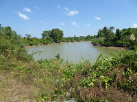 De rivier