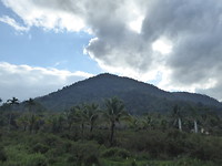 Prachtig landschap