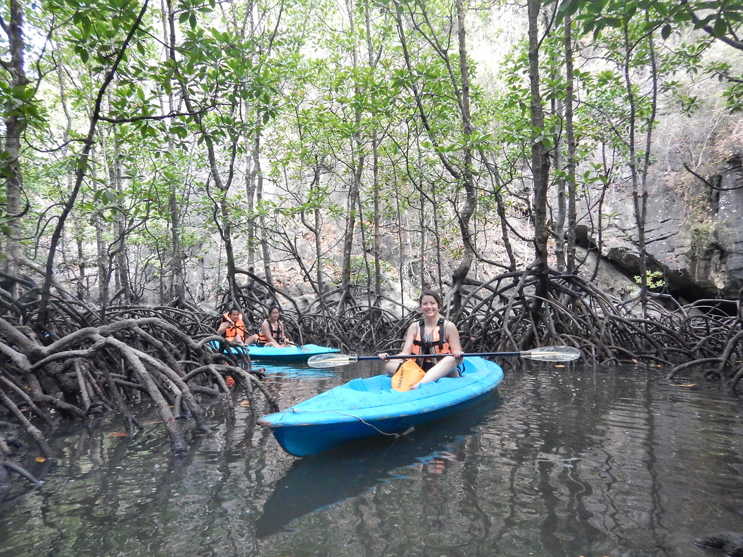 Mangrove