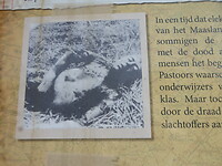 Jong slachtoffer dodendraad