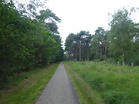 Wijffelterbroek