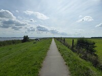 het prachtige broedgebied van de grote Karekiet