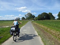 op weg naar de vuurtoren die volledig verborgen ligt achter groen