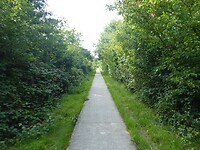 het natuurreservaat : waterloopbos of een uitloper ervan