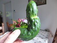 tja ... lol