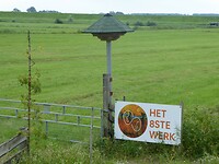 Modern zwaluwnesten oord
