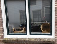 leuke lig plek voor kat