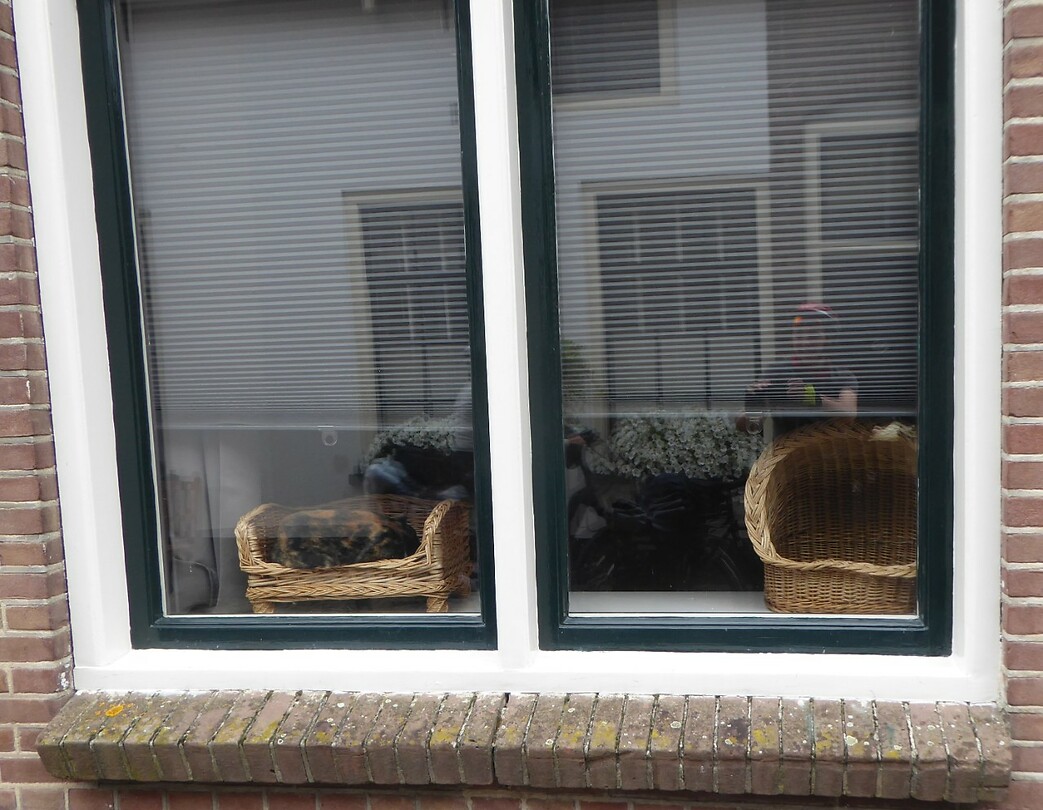 leuke lig plek voor kat