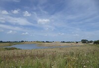 Natuurgebied