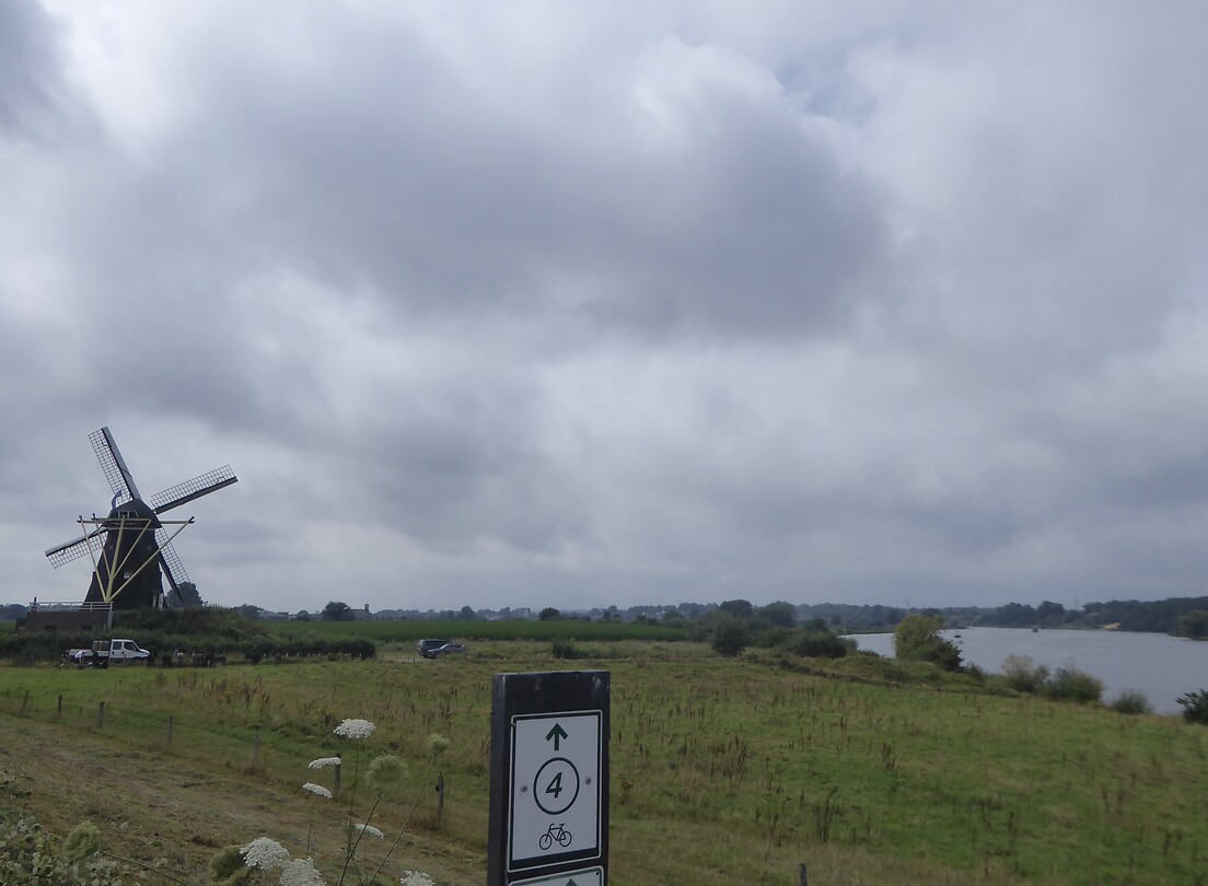 Molen