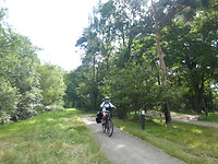 Fietsen in het bos