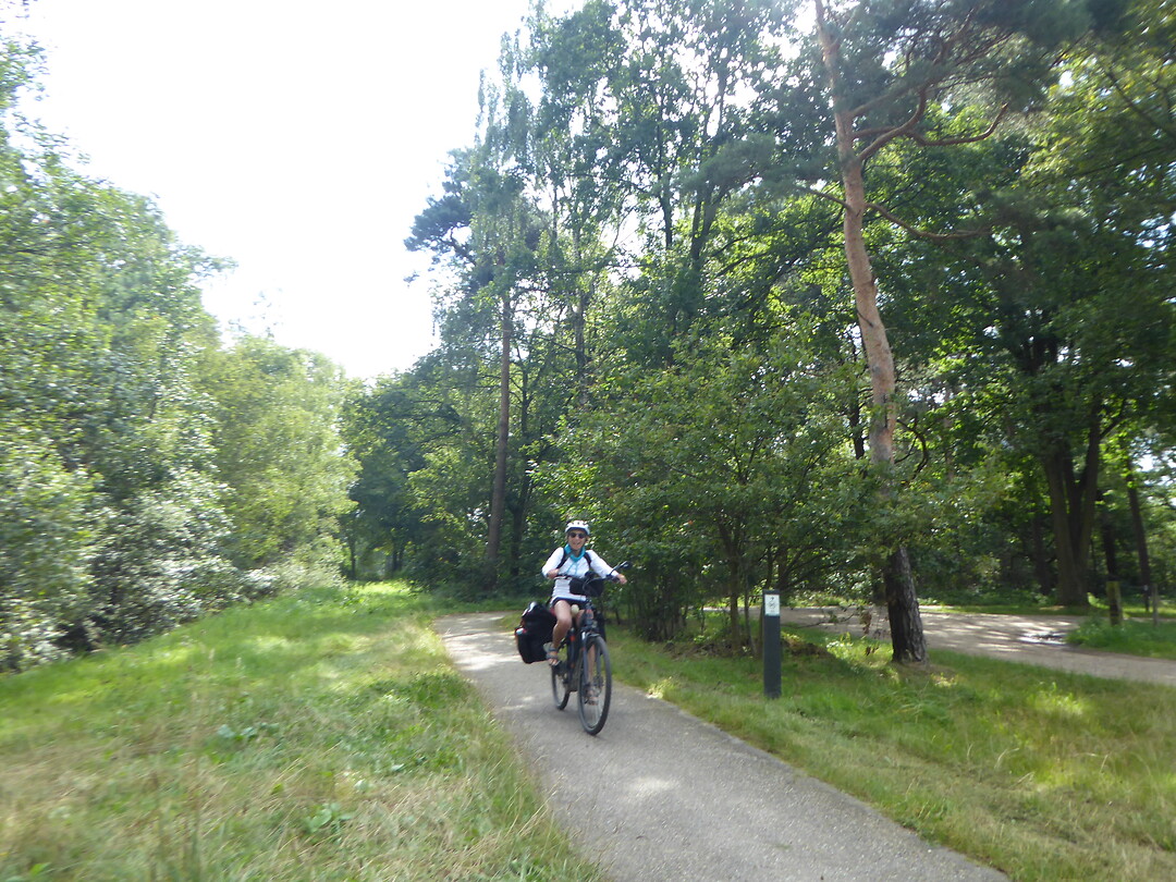 Fietsen in het bos