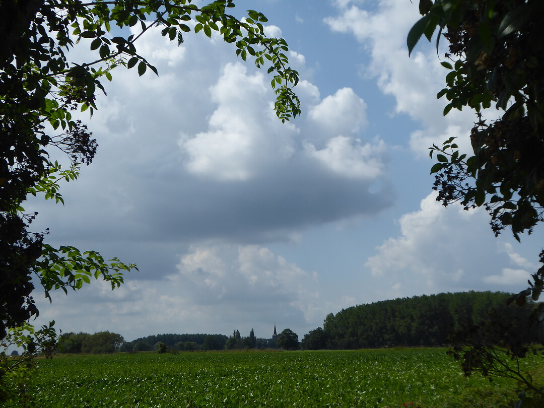 Mooi zicht