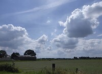 Koeien die op stal gaan