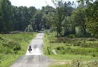 Door bos