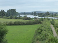 Maas